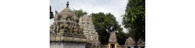 திருவாமூர்